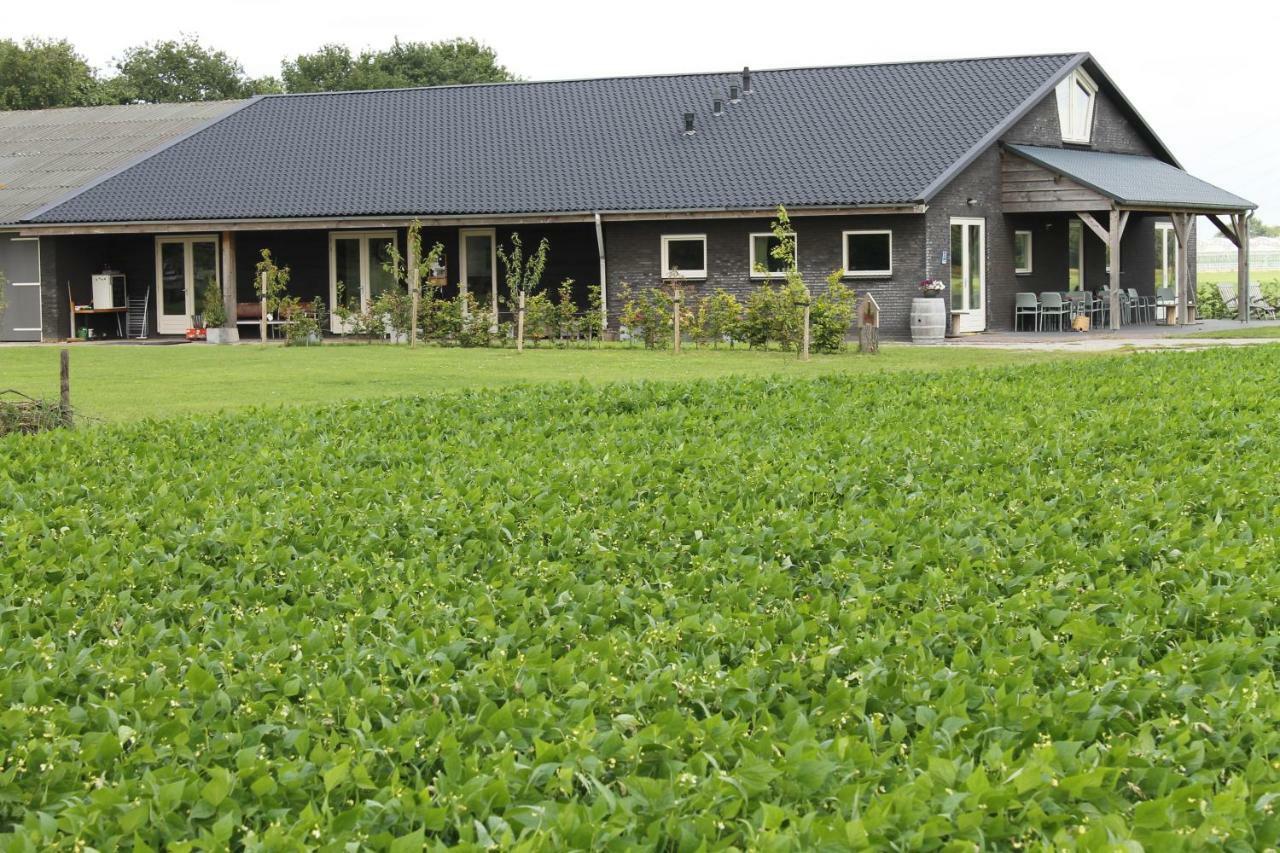 Munnickenheide Buitengewoon Overnachten Terheijden Exteriér fotografie